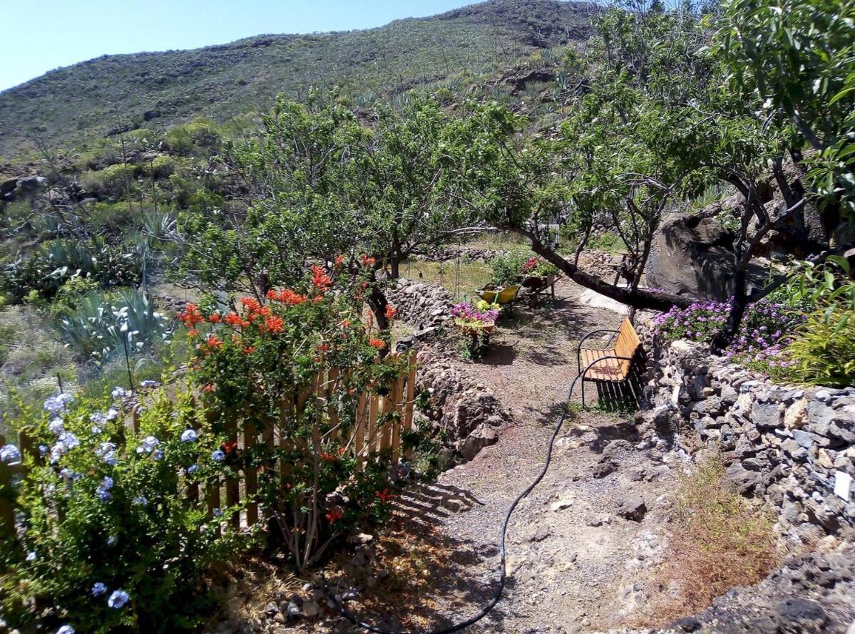 Casa La Fuente Villa Arona  Exterior photo