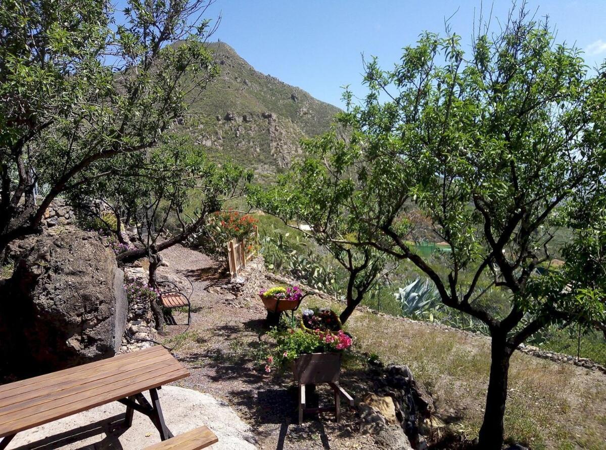 Casa La Fuente Villa Arona  Exterior photo
